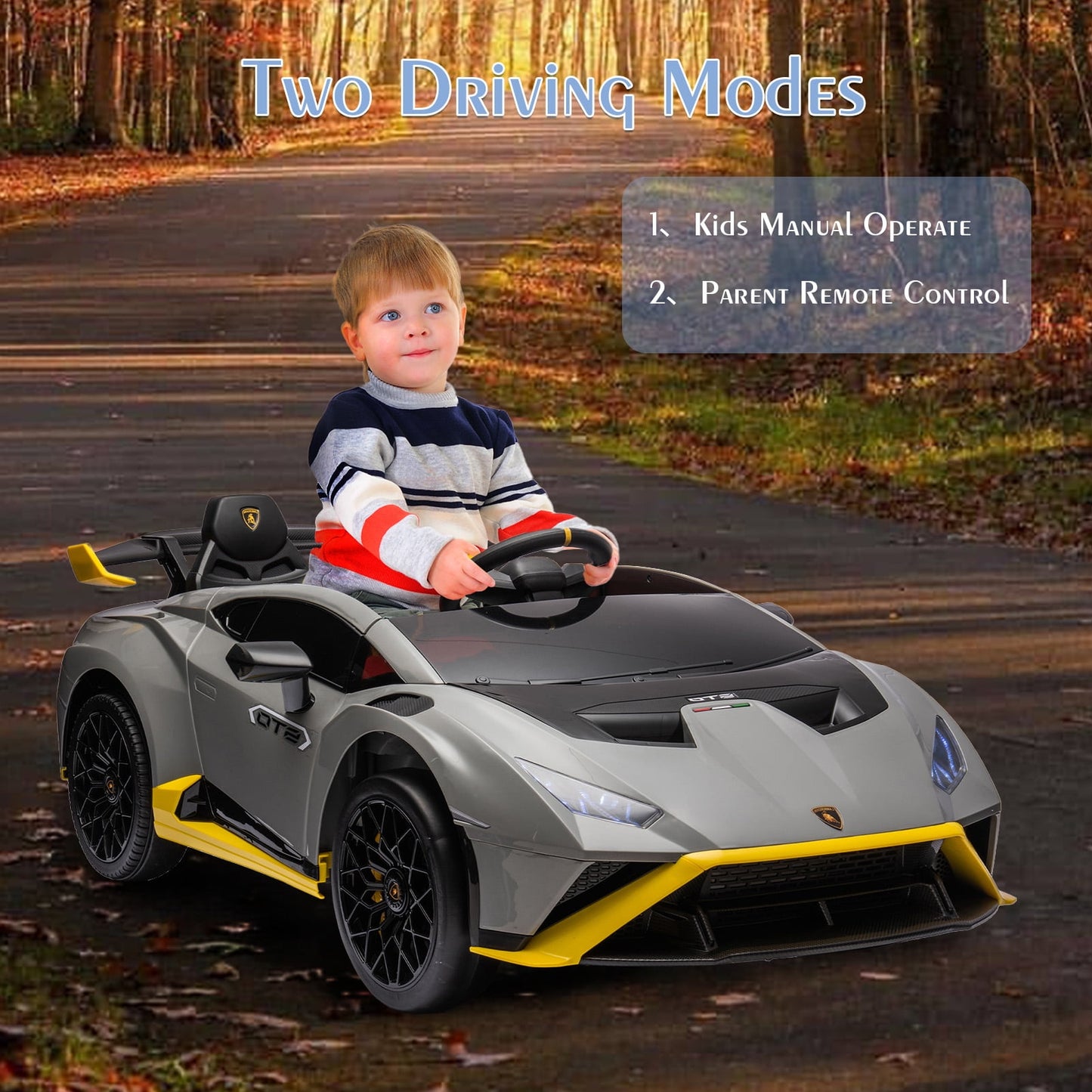 LISUEYNE 24V Licensed Lamborghini STO Ride on Car, Drift Electric Car for Boys Girls Age 3+, Remote Control, Music, Max Speed 6mph, Grey
